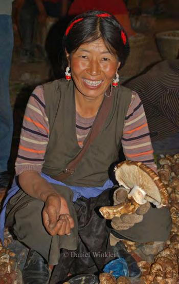 - Winkler: The Mushrooming ungi Market in Tibet 8 Russula spp. brittlegills 4,T Suillius spp.