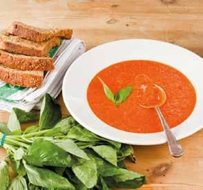 65 TIDEFORD SOUPS 3 x 2ltr Minestrone with
