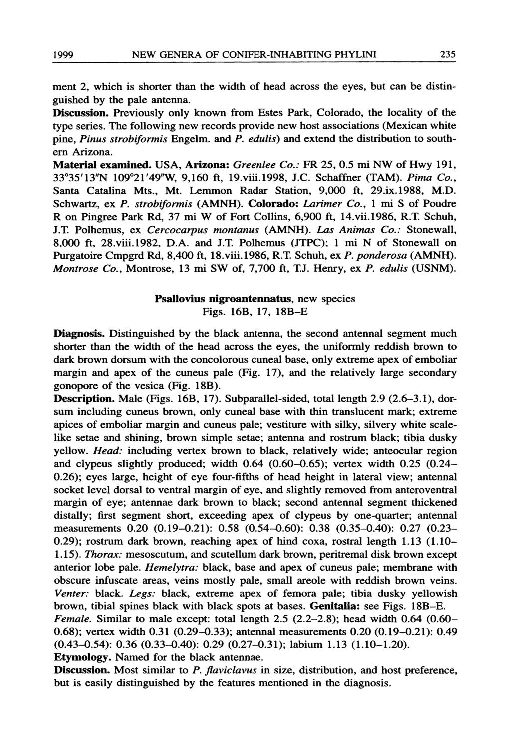 1999 NEW GENERA OF CONIFER-INHABITING PHYLINI 235 ment 2, which is shorter than the width of head across the eyes, but can be distinguished by the pale antenna. Discussion.