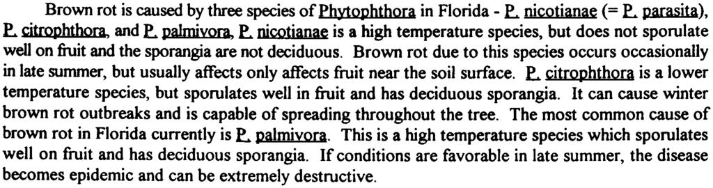 Phytophthora Brown Rot Smtomatolo and Disease Ccle. Brown rot affects fruit of all types of citrus. Lesions begin as a light brown discoloration of the fruit surface.