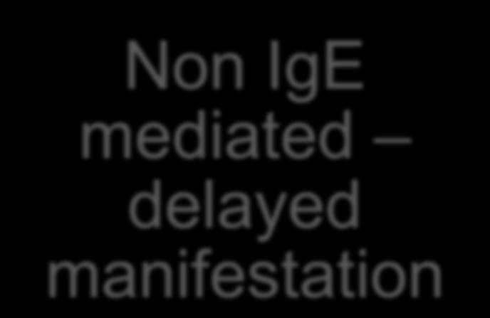 IgE mediated delayed manifestation eczema Allergic