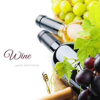 Our production Our production includes: Red wines White wines Dedicated wines Sparkling
