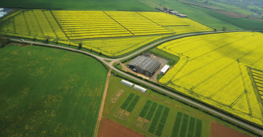 DSV United Kingdom Innovation for your growth 2 DSV United Kingdom 4 Oilseed Rape 3 DSV OSR variety traits explained 4 The PNN Difference DSV United Kingdom is a wholly owned subsidiary of Deutsche
