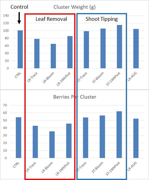 Leaf Removal and Shoot Tipping Change Cluster Compactness Tim Martinson and Alex Koeberle Loomis Riesling Harvest: Sample clusters harvested from different treatments.