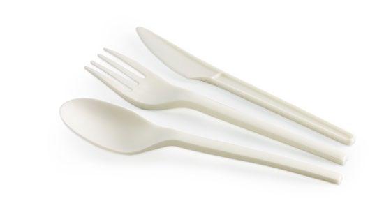 5AKFNSP-B 250/ctn 70% Bioplastic BioCutlery Use Hot and cold use Material End of life 70% bioplastic (PSM) Landfill This is an alternative, low-cost option made from 70%