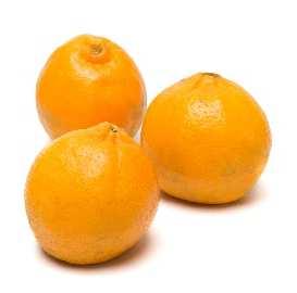 Miho Wase is also the cultivar that matures the earliest of the Satsuma cultivars, and can be harvested from as early as mid-march.