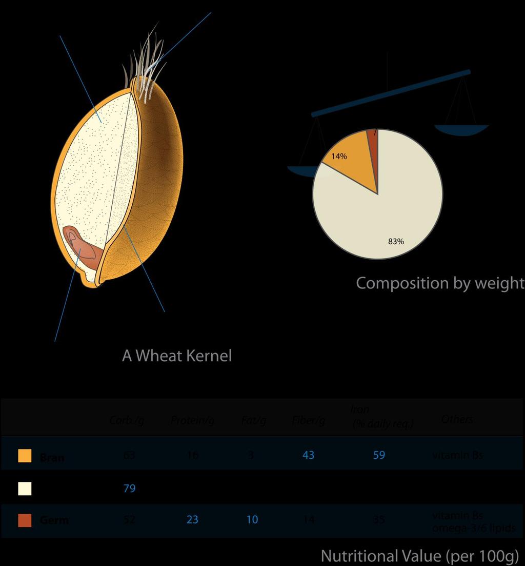 A WHEAT KERNEL AND ITS NUTRITIONAL VALUE By Wheat-kernel_nutrition.
