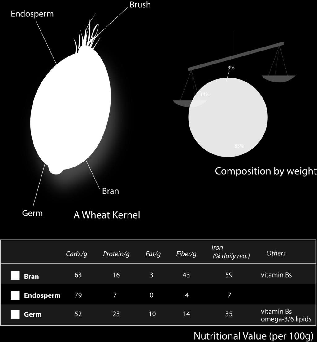 of wheat kernel is based on (and simplified from) Berghoff (1998), cited by muehlenchemie, as well as other