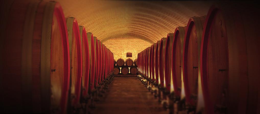 WINE CELLAR At the heart of Kneževi Vinogradi, 5 centuries ago, Belje Wine Cellar was dug into the hillside.