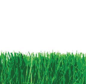 Grassy Chemical Name: cis-3-hexanol Flavour: fresh cut grass, crushed green leaves Undesirable in high amounts Causes: Oxidation