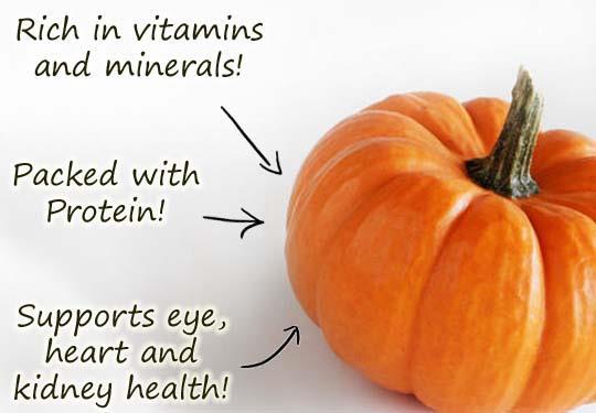 One cup boiled and mashed pumpkin contains 408% recommended dietary allowance (RDA) of vitamin A (as betacarotene). It also contains all B vitamins (except B12) and 13% RDA each of vitamin C and E.