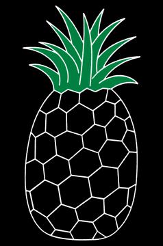 Pineapple spirals & Fibonacci sequence.