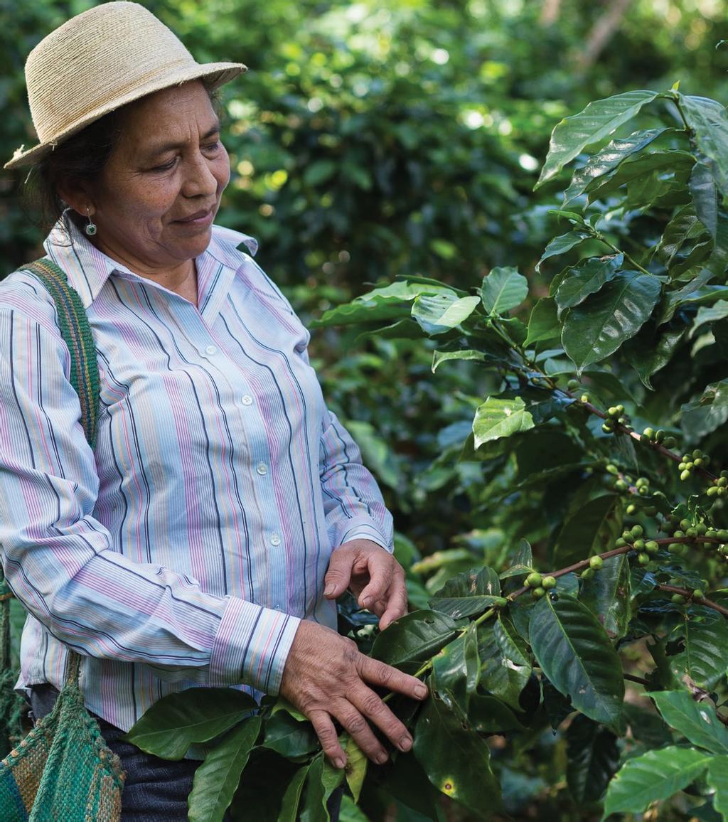 with cooagronevada: impacts of the Fairtrade premium 8 - Child protection: a pilot