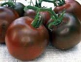 VG-153 Black Cherry Tomato: Dusky red/purple color is a nice contrast when paired with yellow and red cherry tomatoes.