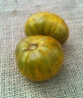 VG-115 Green Grape Tomato: Clusters of 1 1½ green olive-shaped tomatoes, harvest when they