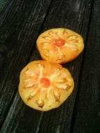 end. Meaty tomato, few seeds, sweet and tasty, excellent yields.
