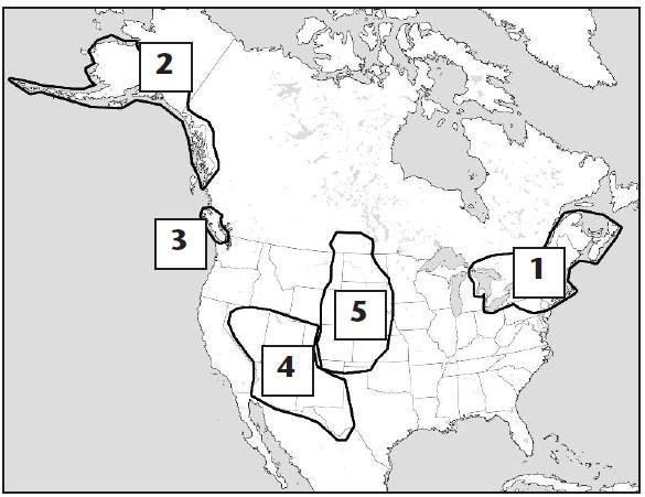 Study Strategy Make a map: Draw an outline of North America. Place all five tribes in the correct location. Check with your notes. Then add climate or geographic related fact for each tribe.