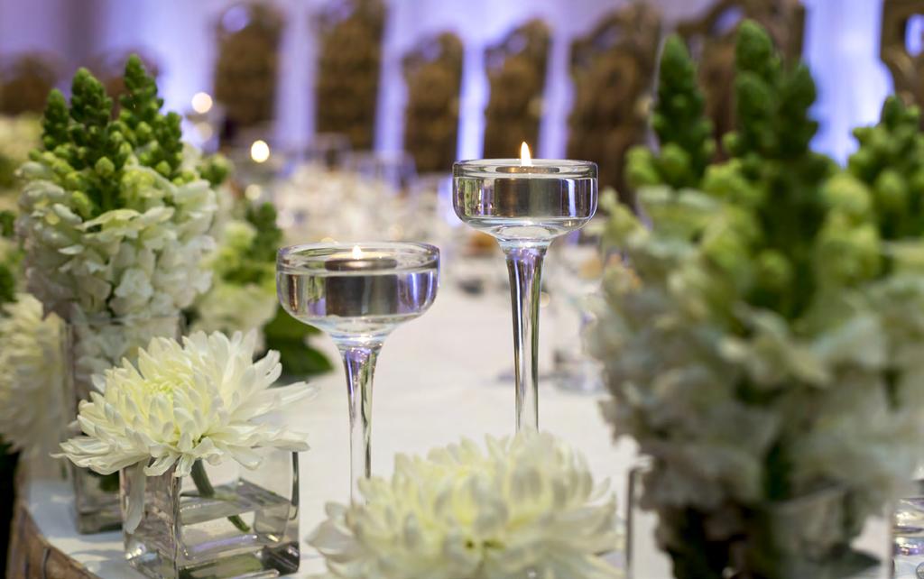 From day to dusk, the team at Navarra Venues are at your complete service, ensuring your event is everything you imagined from styling to cuisine.