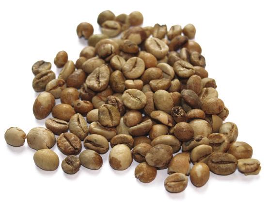 ARABICA FLAVOUR PROFILE Citrus/higher acidity Cleaner/sometimes floral Lighter body Lighter crema GREEN BEAN IDENTITY Green in colour General oval in shape (beetle) KEY CHARACTERISTICS Lower in