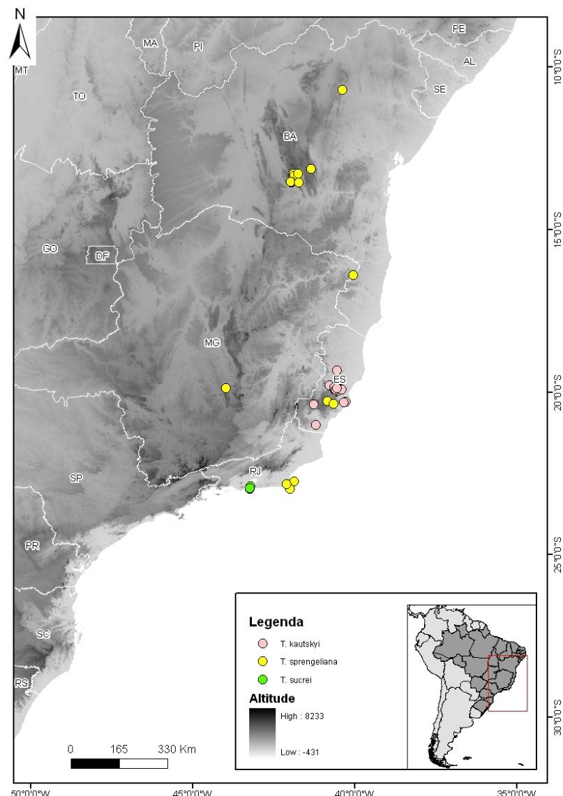 3. Species characteristics 3.1 Distribution Tillandsia sucrei is endemic to Brazil, being found only in the biome of the Atlantic Forest of the State of Rio de Janeiro (Figure 1). 3.2 Habitat Figure 1: Distribution of the species T.