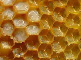 Antioxidants Honey contains a variety of phytochemicals (as well as other substances such