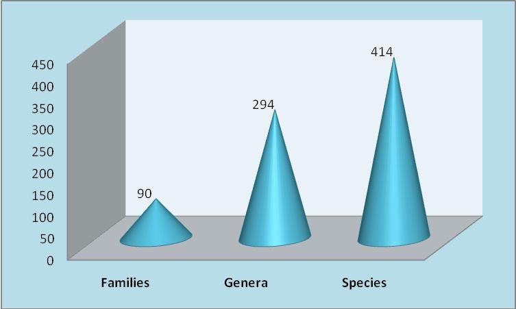 Floristic Diversity of Ambala District, Haryana, India 995 Fig. 3 : Total number of families, genera and species recorded.