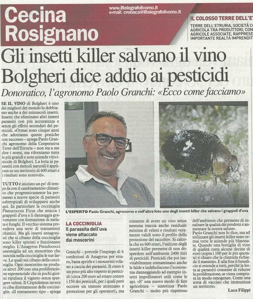 Insect killers save the wine Bolgheri says goodbye to