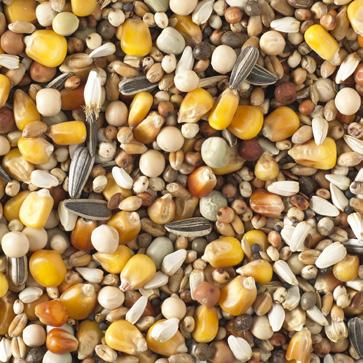 4 Sunflowerseed striped 3 Linseed 1 Rapeseed 1 Dehulled oats 1 Millet yellow 1 AVEVE mixtures protein fat carbohydrates ash AVEVE Standard 13,68 2,96 63,50 1,94 4,02 protein fat
