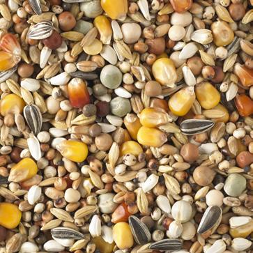 peas ensure easy intake Carefully selected ingredients (sunflower seeds, flaxseed etc.