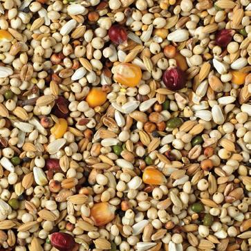 NATURAL Finesse Start High in protein Optimal protein content for breeding season The small grains and seeds are ideal for weaning Composition: Wheat 12,5 Maize popcorn 12,5 Safflowerseed 10 Peas