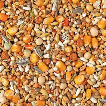 Rapeseed 1 Millet yellow 1 Dehulled oats 1 NATURAL Moulting Maxi 2M Cribs Contains a large variety of small grains and seeds, very rich in oily seeds Meticulously dosed with ingredients that your