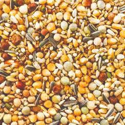 Maple peas 2,5 Linseed 2,5 Dunpeas 2 Mung beans 2 Rapeseed 2 Millet yellow 2 Dehulled oats 1 Canary seed 1 Hemp seed 0,5 Lentils 0,5 Marian thistle 0,5 NATURAL Moulting Maxi 2M Popcorn Contains