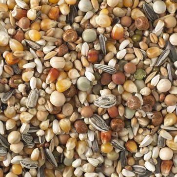 green 8 Safflowerseed 8 Milo 8 Peas yellow rice 15 Maize Cribs 10 Wheat 5 Milo 5 Mung Beans 2,5 7 Vetches 5 Barley 5 Paddy rice 3 Maple peas 2,5 Linseed 2,5 Linseed 1 Rapeseed 1 Millet yellow 1