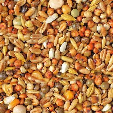 Sunflowerseed striped 4 Barley 4 Linseed 2 protein fat carboash