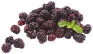 and Antioxidants Raspberries