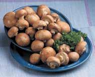 Potatoes 5 Bag