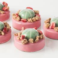 $10 (served in clear acrylic 130ml tube) Strawberry, Lime, Mint & Watermelon Tart (nut free) Baked