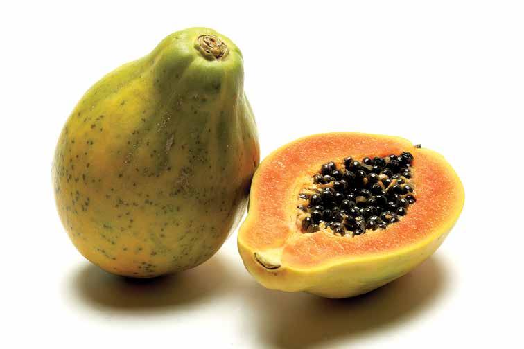 THE LATEST ON... European papaya market Recovering at last?