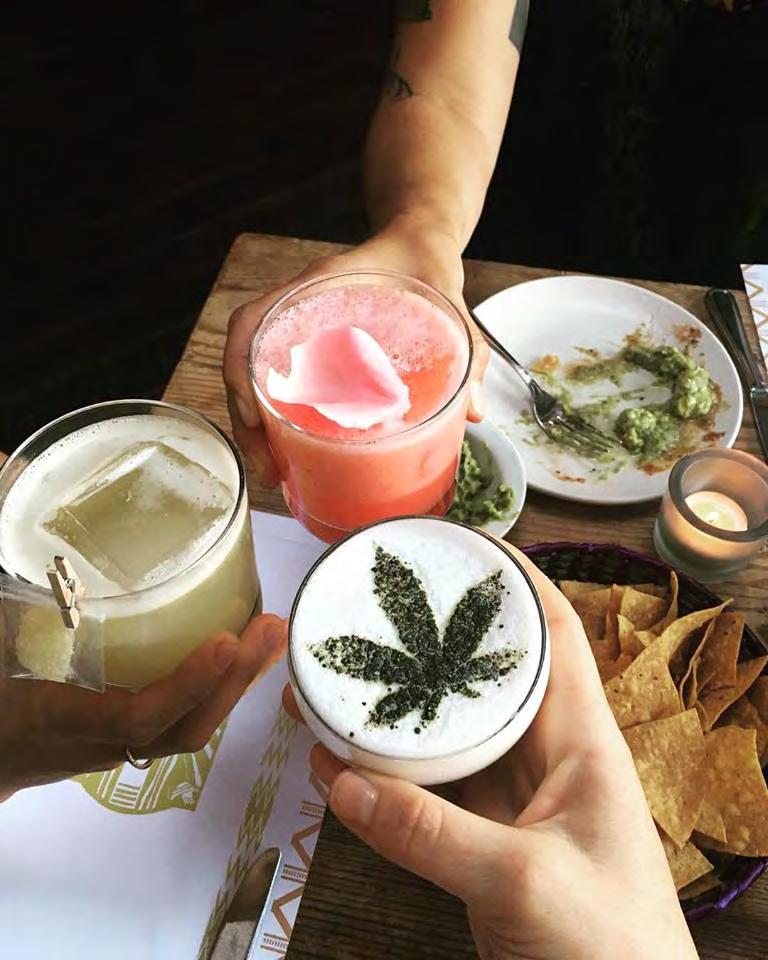 Beverage Trends Highly Rated Drinks Cannabidiol, or CBD, is taking over cocktail menus.