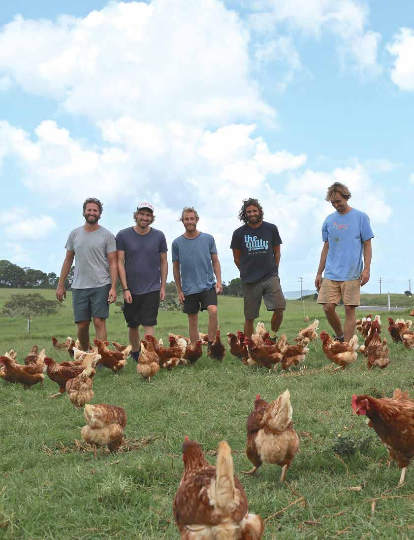 AUSTRALIA 400 CHICKENS, 32 HECTARES AND THREE BLUE DUCKS Since it opened in March this year Three Blue Ducks Restaurant & Café in Byron Bay has been attracting rave reviews and droves of foodies.
