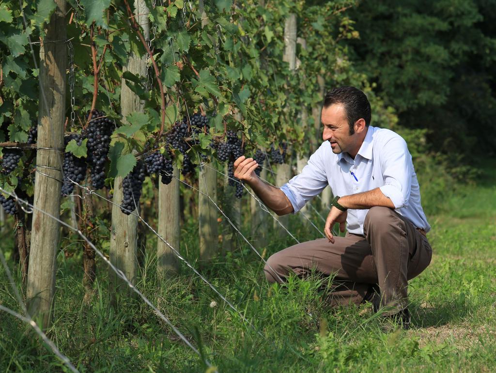 crossed destinies Angelo Divittini the wine maker, created 9.9 with Alessia. Alessia and Angelo firmly believe that wine begins in the countryside long before it reaches the cellar.