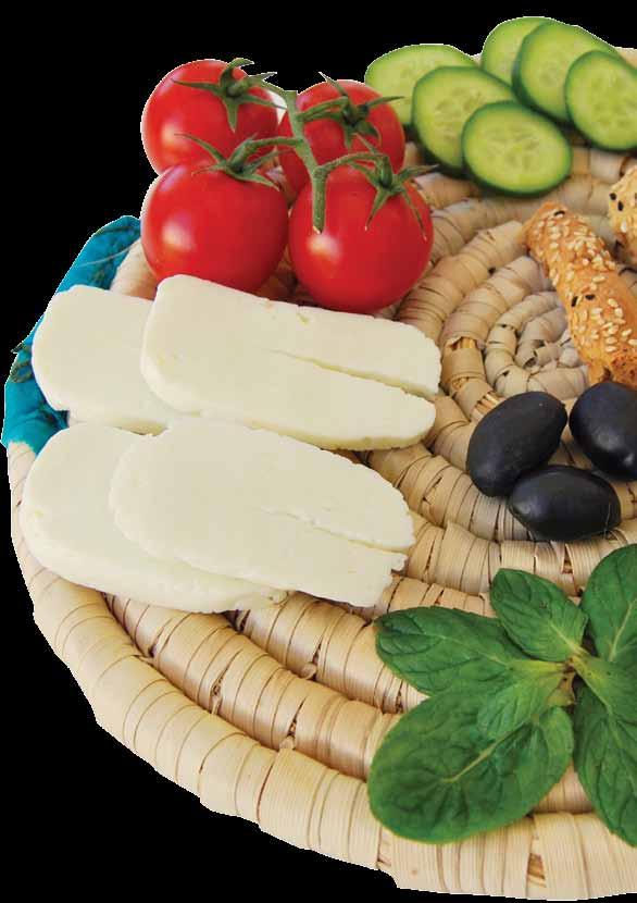 ECONOMIC Value Halloumi is an important export product and has a significant share in the