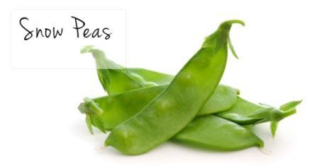 Peas were not eaten as a fresh vegetable in Europe until the 17 th century Chinese