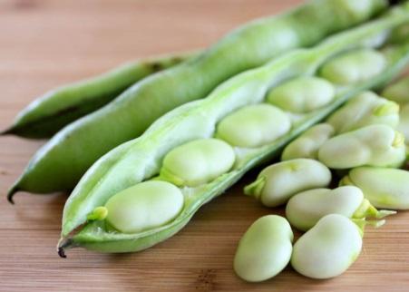 Broad or fava beans, Vicia faba, are associated with the Mediterranean. Broad bean fossils date to 8800 ybp. Cultivation was widespread in the Eastern Mediterranean region in prehistory.
