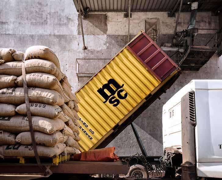LOADING OF COCOA SACKS INTO A CONTAINER CONTAINER SELECTION PROCESS & PREPARATION During the export process, we help our customers to choose their containers.