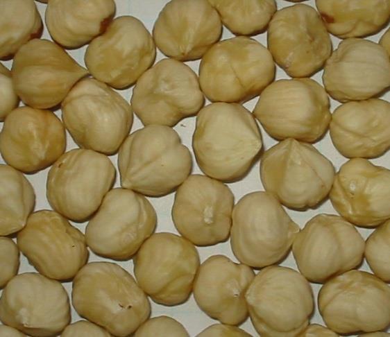 Nut quality problems, such as kernel shrivelling, increase in high yielding varieties with larger nuts (e.g. Barcelona and Ennis) when these are grown in less than ideal climatic conditions.
