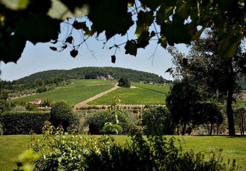 The guests will absorb the full Montalcino experience with dinner and an overnight stay at CastelGiocondo.