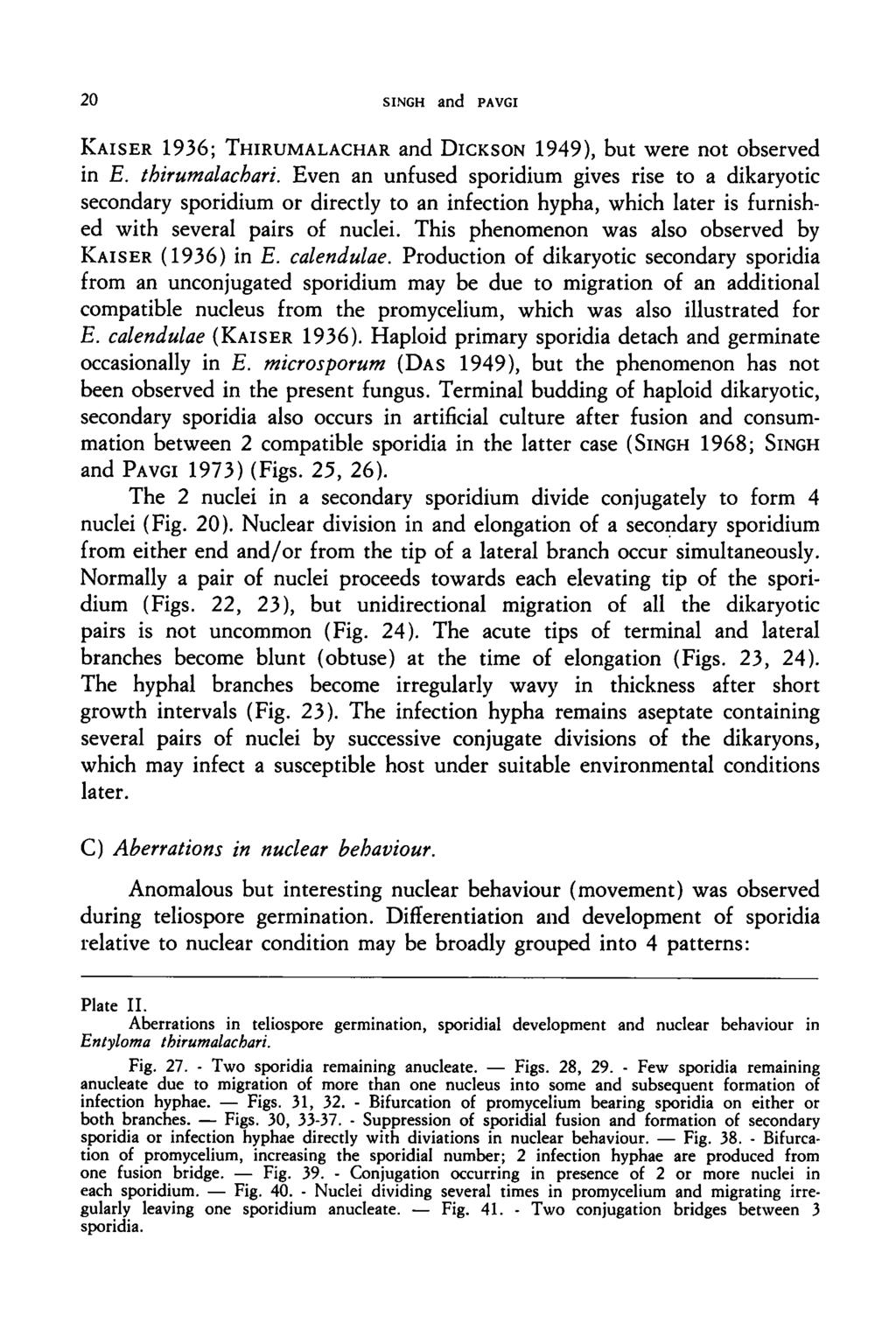 20 SINGH and PAVGI KAISER 1936; THIRUMALACHAR and DICKSON 1949), but were not observed in E. thirumalachari.
