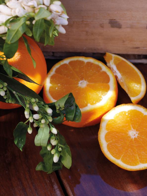 THE AWAKENING OF SENSES In 9 varieties Through an exceptional and rare selection, Perdine gives back its letters of nobility to both oranges and clementines.