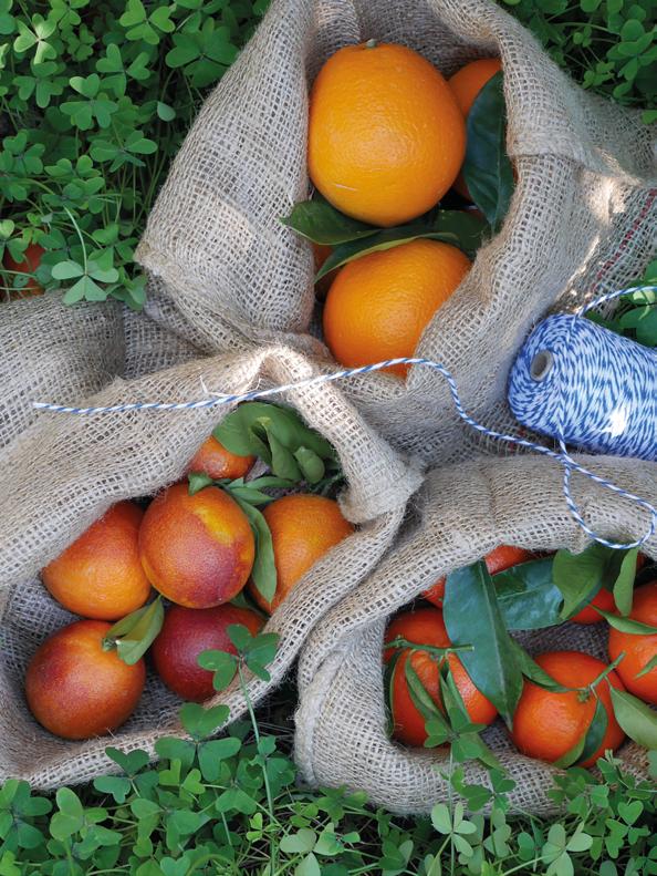 OUR COMMITMENTS DISTINGUISH US SEASONAL FRUIT PICKING UP ON REQUEST Picked when ripe No storage HAND HARVESTING FREE DELIVERY SUSTAINABLE AGRICULTURE LABEL TASTE ACKNOWLEDGED PROFESSIONALS Perdine